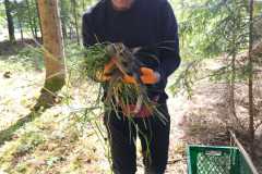 Nach der Mahd konnten wir die kleinen Kitze wieder aussetzen